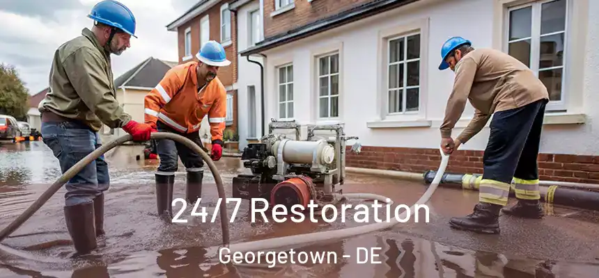 24/7 Restoration Georgetown - DE