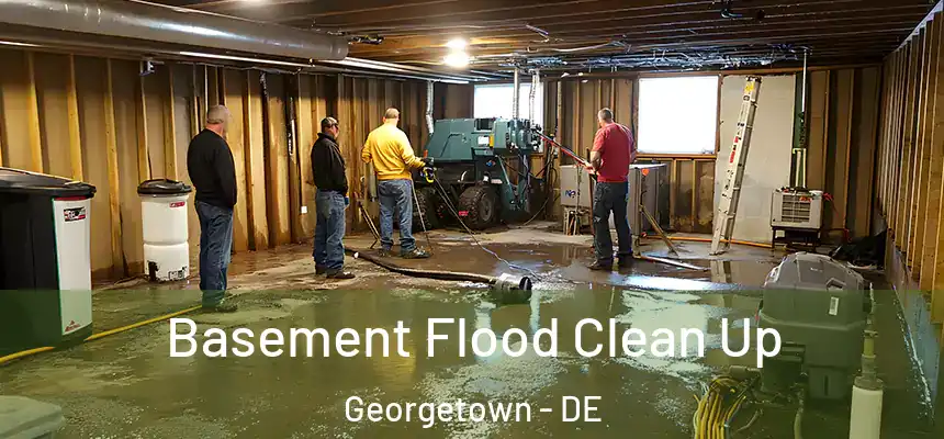  Basement Flood Clean Up Georgetown - DE