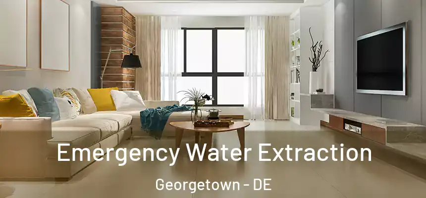  Emergency Water Extraction Georgetown - DE
