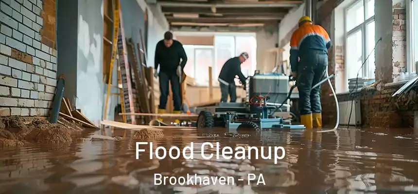  Flood Cleanup Brookhaven - PA