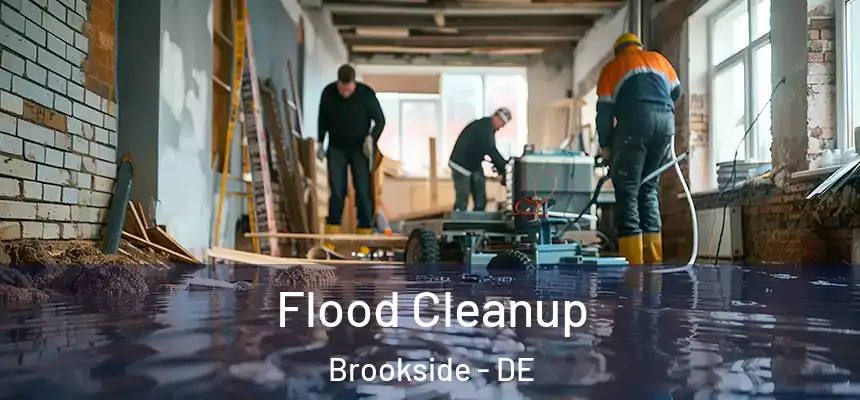 Flood Cleanup Brookside - DE