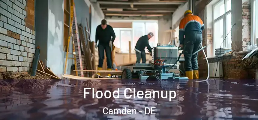  Flood Cleanup Camden - DE