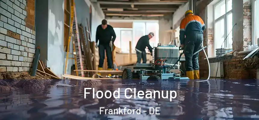 Flood Cleanup Frankford - DE