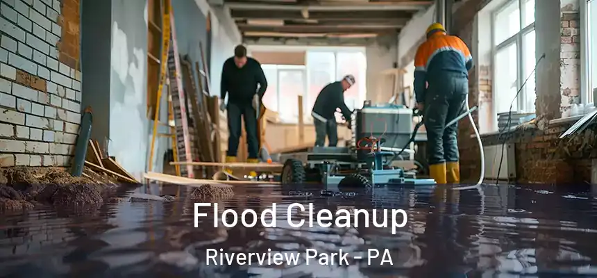 Flood Cleanup Riverview Park - PA