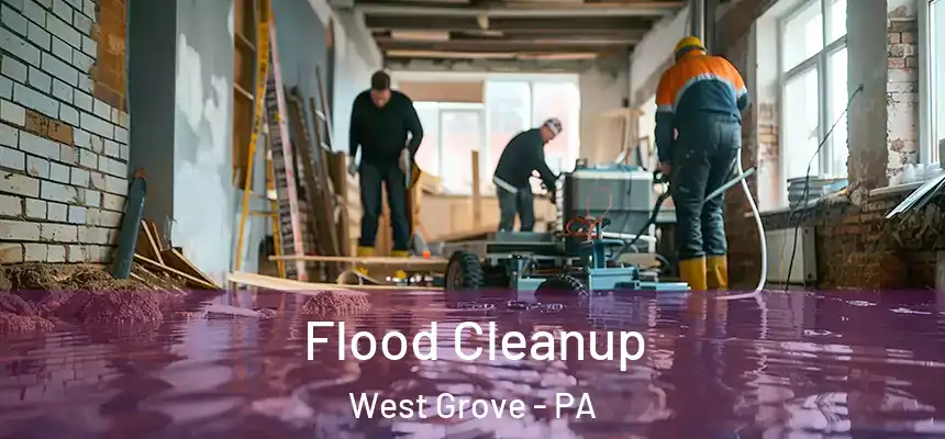  Flood Cleanup West Grove - PA