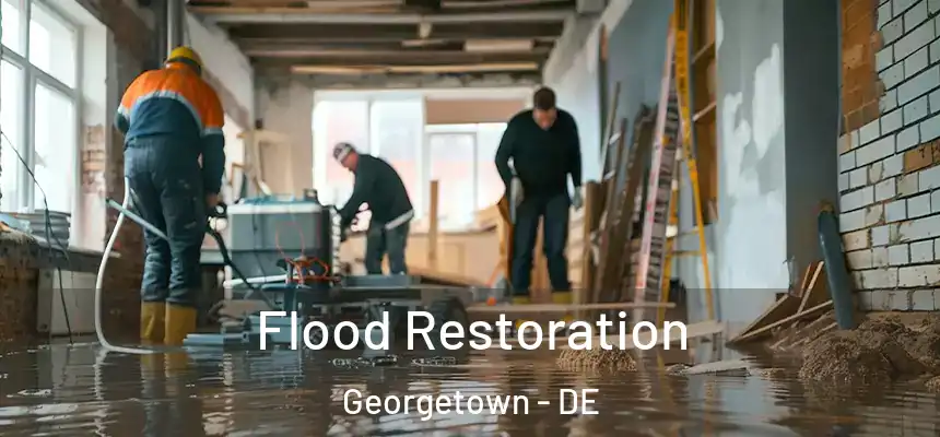  Flood Restoration Georgetown - DE