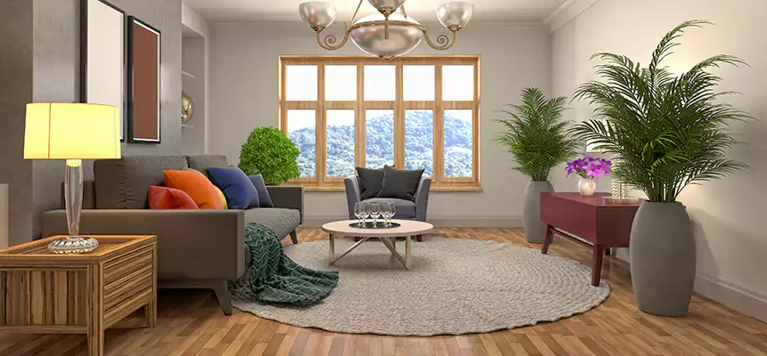 Local Water Mitigation in Drexel Hill