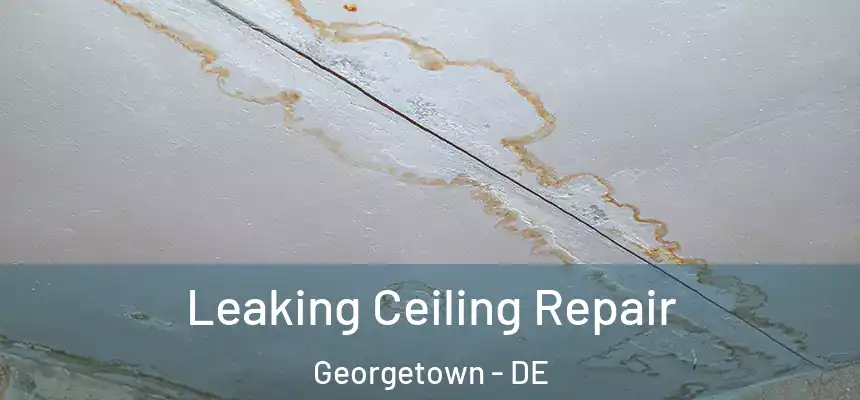  Leaking Ceiling Repair Georgetown - DE