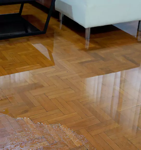 Trusted Emergency Water Restoration Company in Drexel Hill, PA