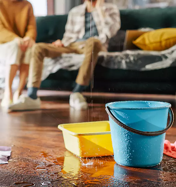 Trusted Water Restoration Company in Drexel Hill, PA