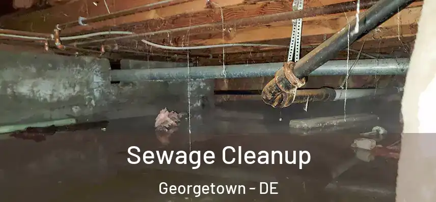  Sewage Cleanup Georgetown - DE
