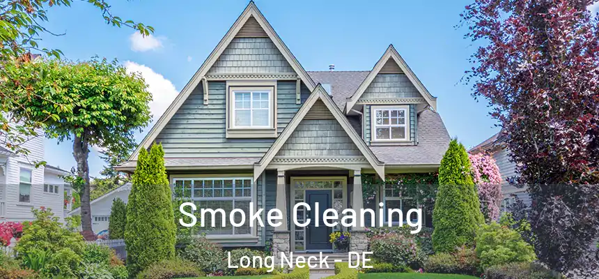 Smoke Cleaning Long Neck - DE