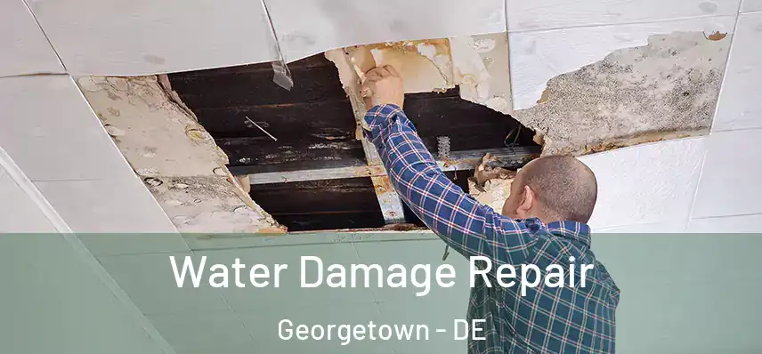 Water Damage Repair Georgetown - DE