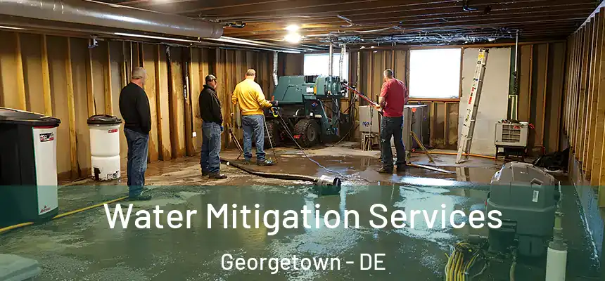 Water Mitigation Services Georgetown - DE